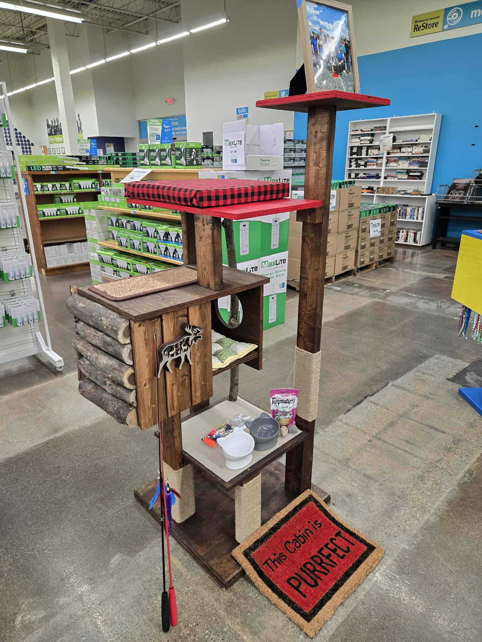 First Mid Bank & Trust - A Cozy Cabin with Toys, Food Dishes, and Cat Beds
