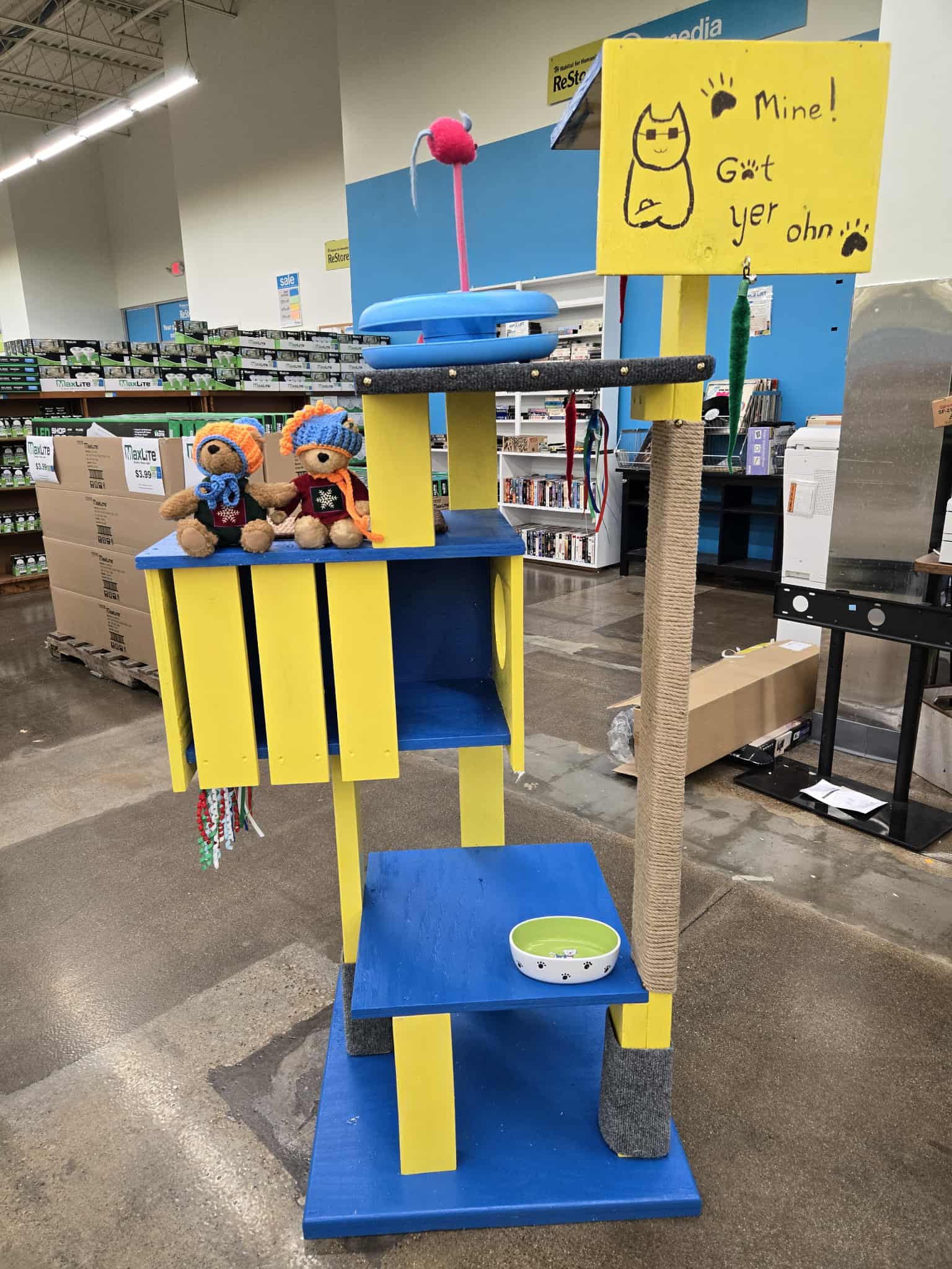 Mahomet Rotary Club - Cat's Vision with Toys